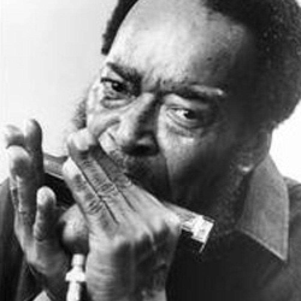 The James Cotton Quartet