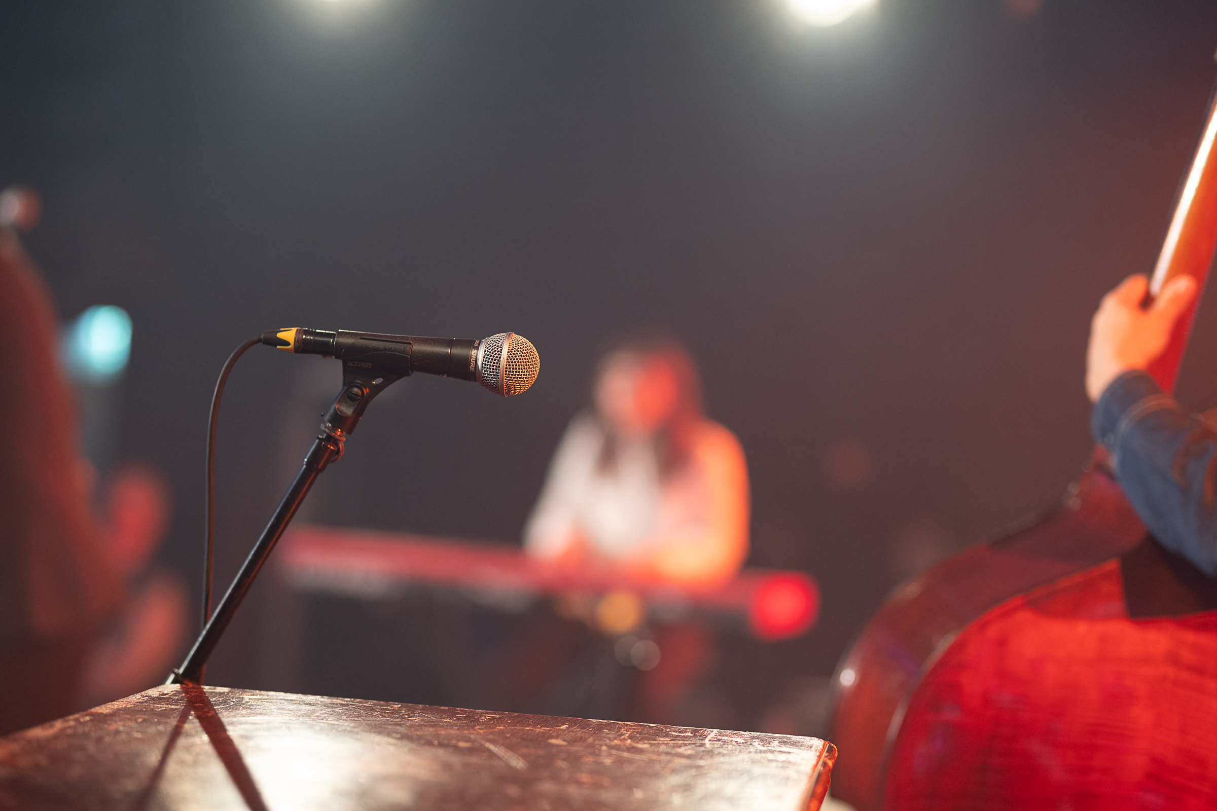 DSC 6906-20251113 Do Matthew Skoller and Chicago Wind feat. Precious Taylor