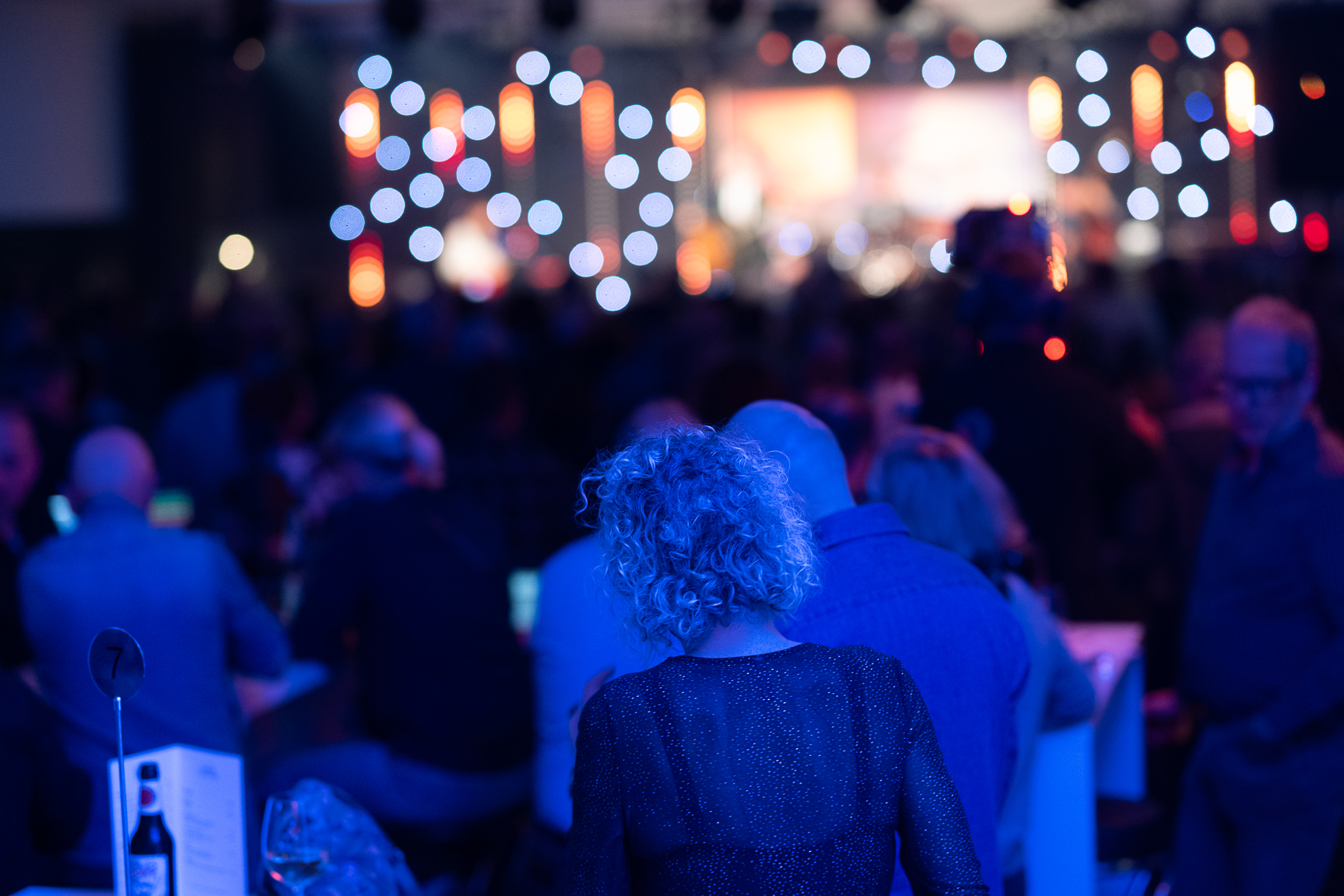 DSC 7046-20251113 Do Matthew Skoller and Chicago Wind feat. Precious Taylor