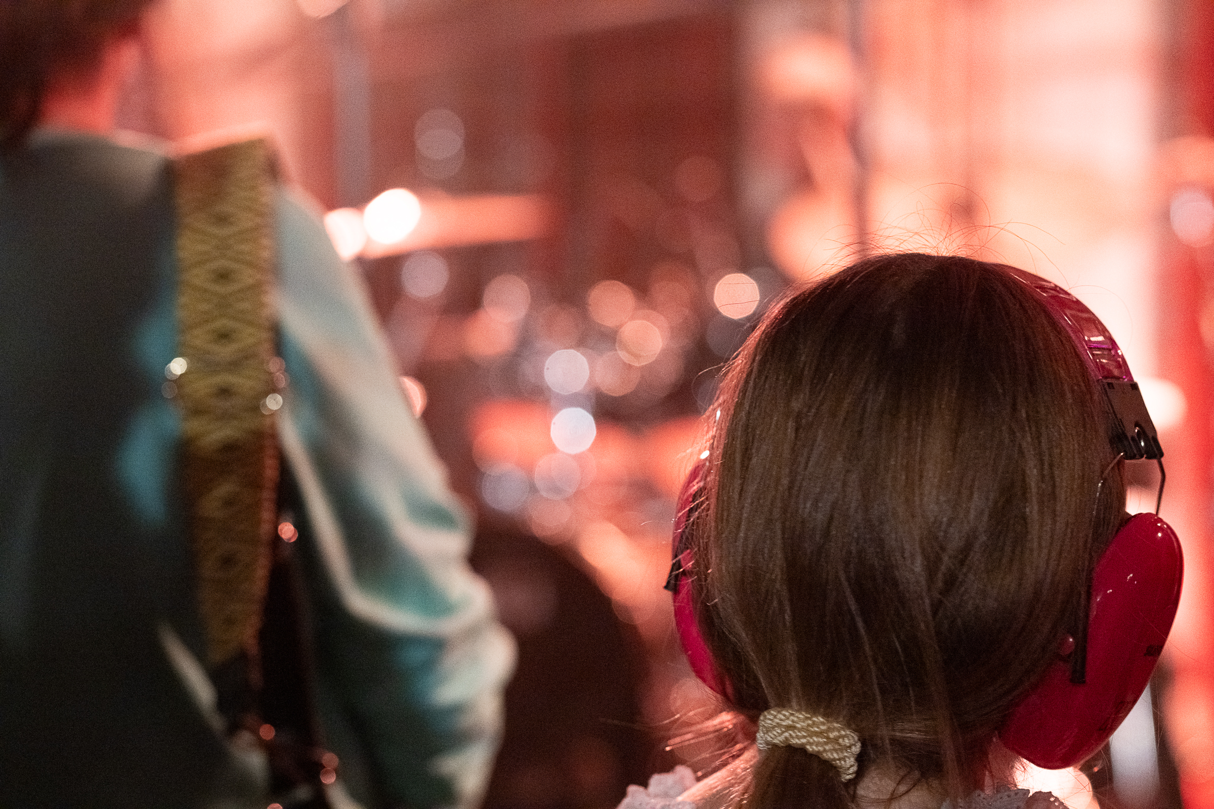 DSC 4686-20251108 Sa Matthew Skoller and Chicago Wind feat. Precious Taylor