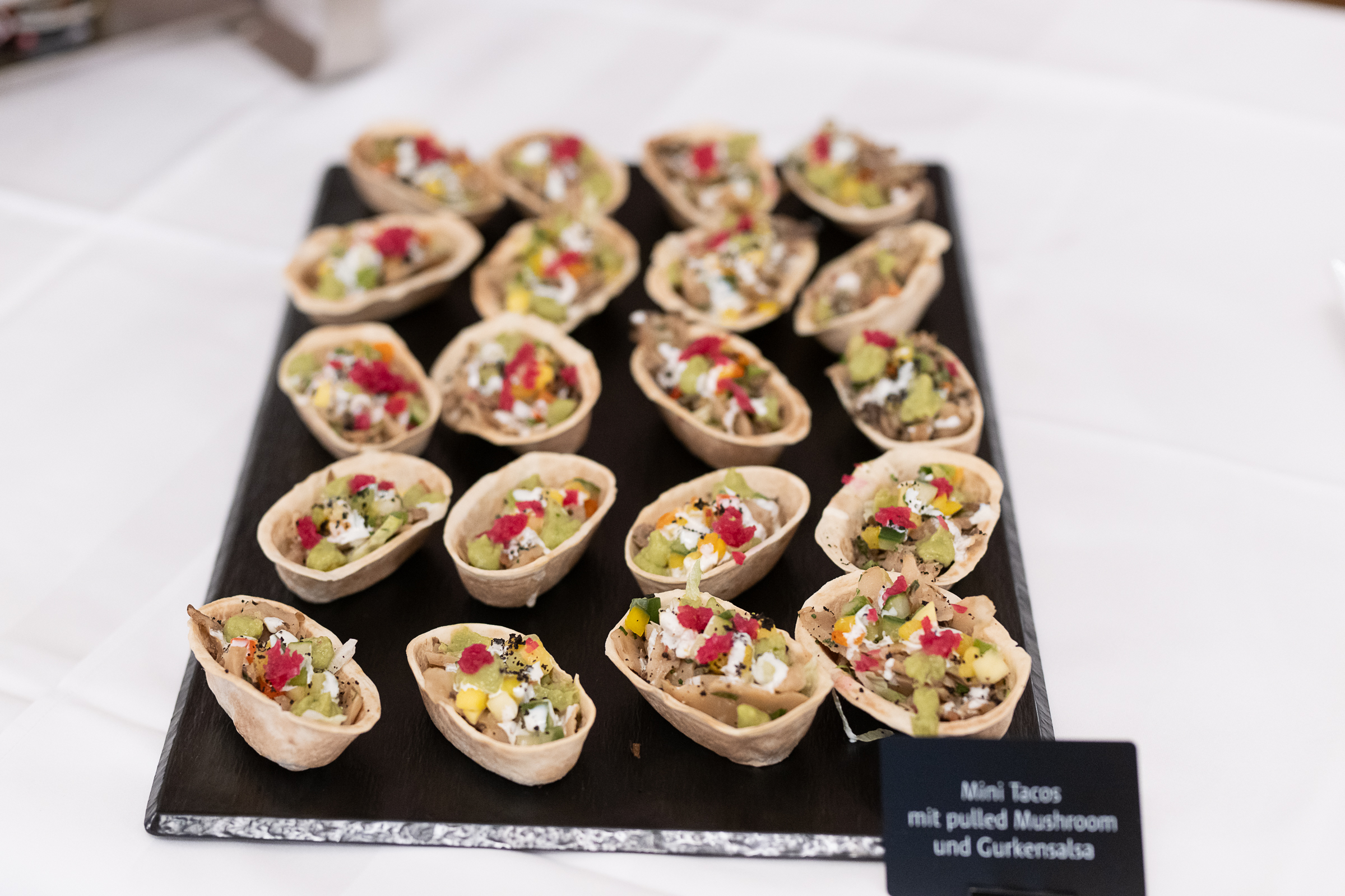 DSC 5098-20251109 So Matthew Skoller and Chicago Wind feat. Precious Taylor